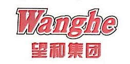望和多彩原浆啤酒有限公司